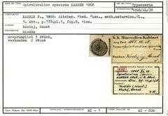 Karteikarte zum Syntyp von Spiroloculina speciosa Karrer, 1868
